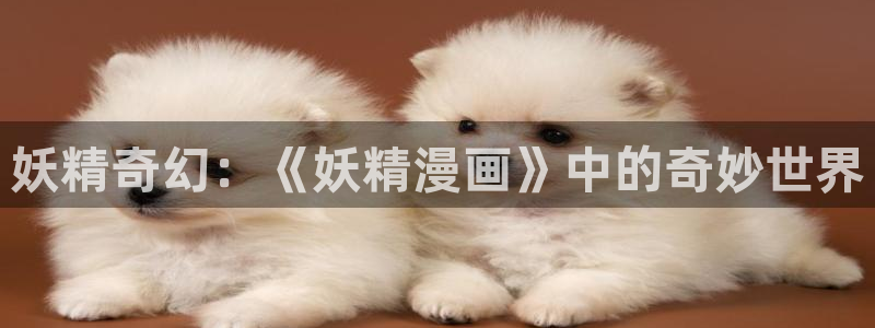 一耽漫网：妖精奇幻：《妖精漫画》中的奇妙世界